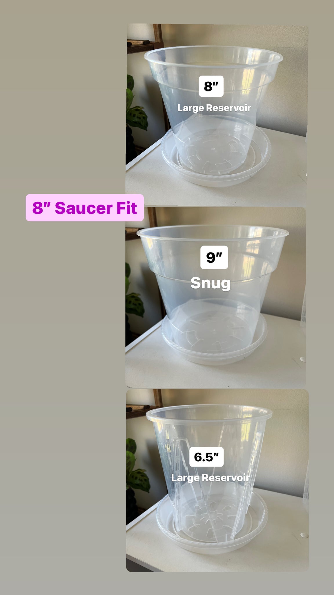 Heavy Duty Clear  Saucers