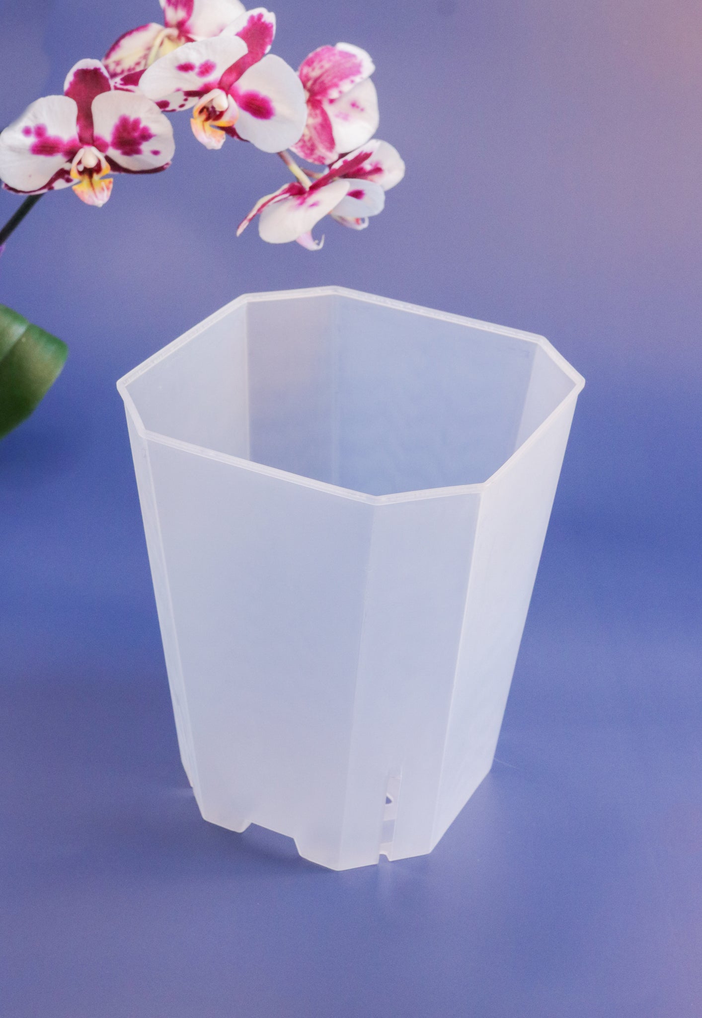 Tall Square Frosted Clear Planters