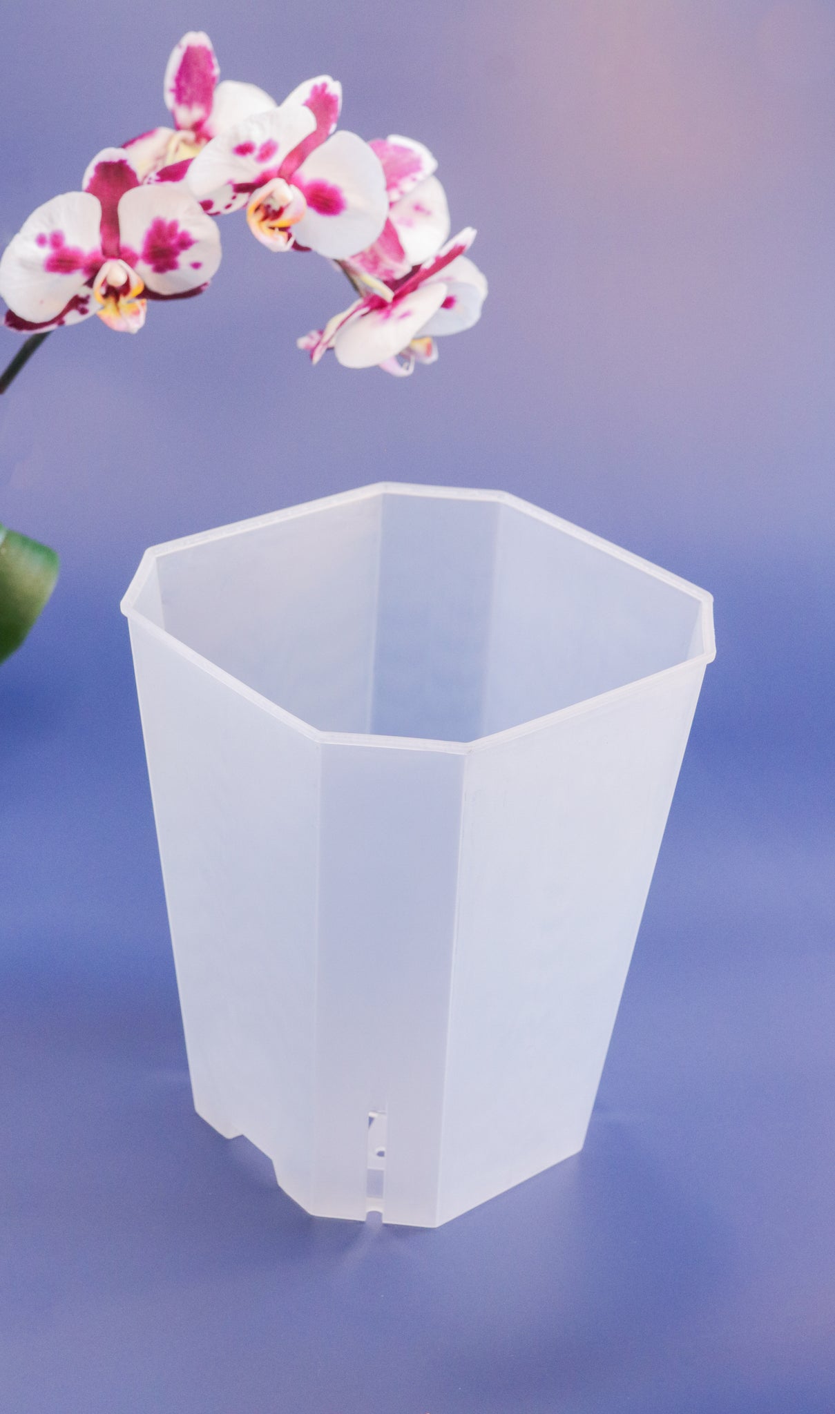 Tall Square Frosted Clear Planters